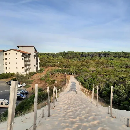Joli T2 38 M2 Renove Idealement Situe Apartment *
